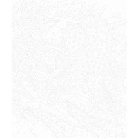 Картина по номерам Janod Hachette Динозавры J07982