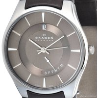 Наручные часы Skagen 989XLSLD