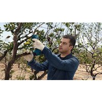 Секатор Bosch Pro Pruner Professional 06019K1021 (с 2-мя АКБ)