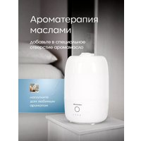 Увлажнитель воздуха Oulemei OLM-JSY006 в Гомеле