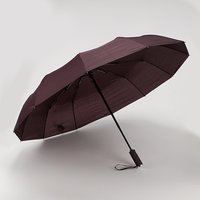 Зонт Rain Berry 734-31203.3 (фиолетовый)