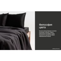 Евро комплект постельного белья GoodNight Essential Евро 400384 (черный)