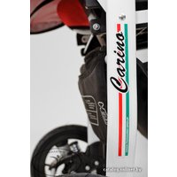 Универсальная коляска Dada Paradiso Group Carino (2 в 1)