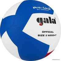Волейбольный мяч Gala Pro-Line 12 BV 5595 SA (размер 5, белый/красный/голубой)