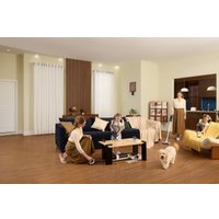 Пылесос Tineco Floor One Switch S6 Power Kit