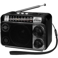 Радиоприемник Ritmix RPR-161
