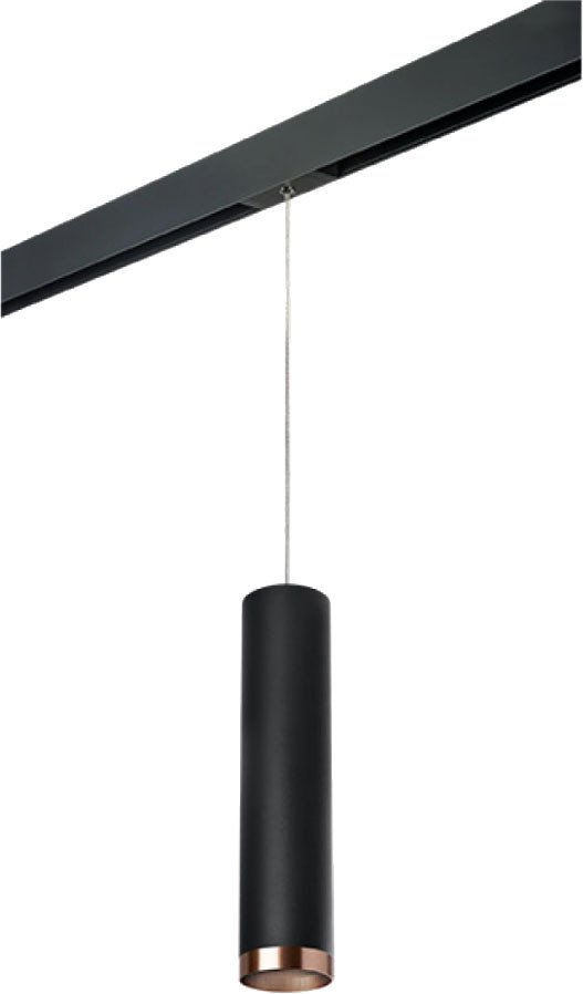 

Трековый светильник Lightstar Rullo PRORP497430