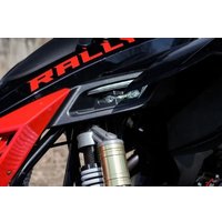 Квадроцикл Motoland Rally 250 (черный/красный)