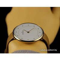 Наручные часы Skagen SKW2137 в Пинске