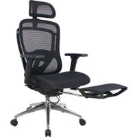 Офисное кресло Evolution Ergo Elite (черный)