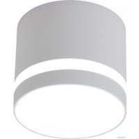 Точечный светильник TruEnergy 21015