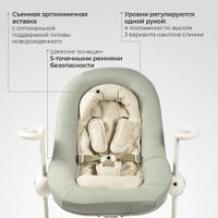 Шезлонг Beaba Lichen Transat Up & Down + Eu Lichen 915049