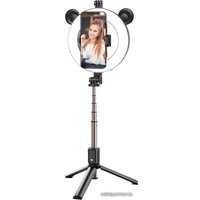 Мультипод Borofone BY6