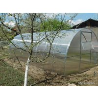 Теплица Агроном Плюс 6м (поликарбонат 4 мм)