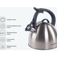 Чайник со свистком Attribute Artisan AKA025