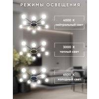 Припотолочная люстра Aitin Pro L73058/10C (черный/хром)