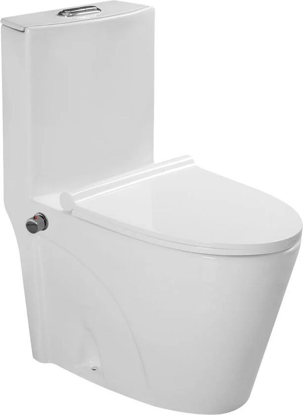 Унитаз напольный SantiLine SL-5012SM-BD