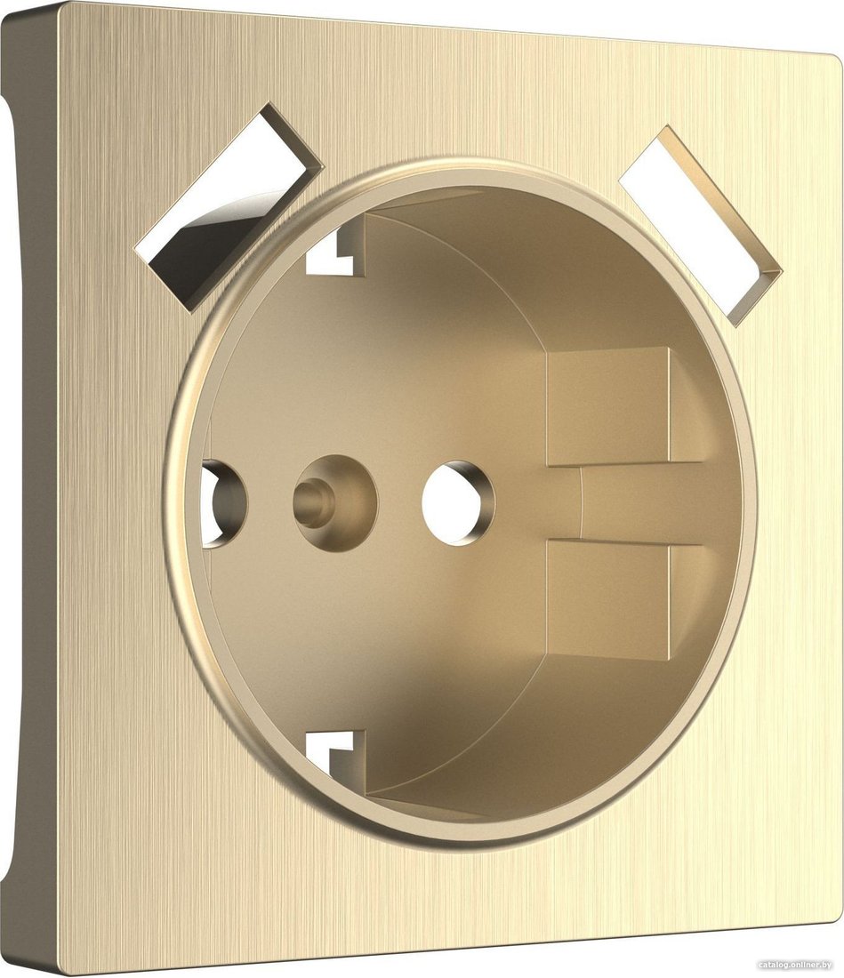 Накладка для розетки Werkel W1179510 a051422