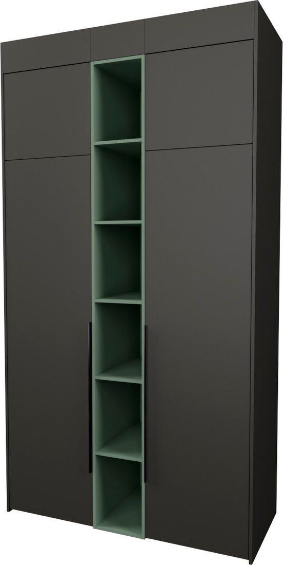 

Шкаф распашной Рэйгрупп Рэй S245-В4-WKZ В4 (дуб веллингтон/кобальт/зеленый самшит)