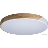 Светильник-тарелка LOFT IT Axel 10004/36 (белый)