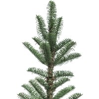 Ель Winter Time 215 MKB07-941T