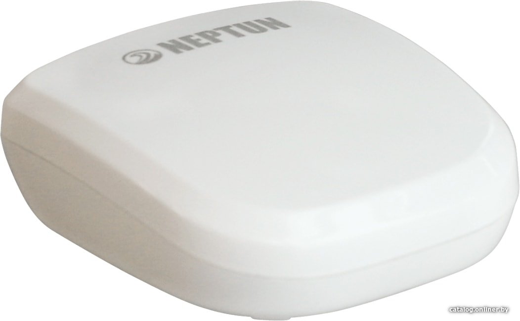 Датчик Neptun Smart 868