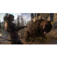  Rise of the Tomb Raider: 20 Year Celebration для PlayStation 4