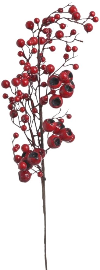 

Рождественская ветка Canea 149CAN84-9058-1