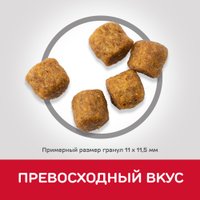 Сухой корм для собак Hill's SP для пожилых собак средних пород с ягненком и рисом