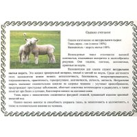 Одеяло Слуцкие пояса 220x200 18С-171-224