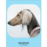 Ошейник Seadog Rose Seagull M