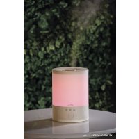 Увлажнитель воздуха AirInCom AC2502