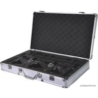 Комплект проводных микрофонов Biema DD Set