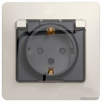 Розетка Schneider Electric Glossa GSL000948