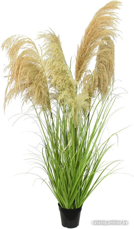 Искусственное растение Flower-ej Пампасная трава искусственная 150 см DIC215B3