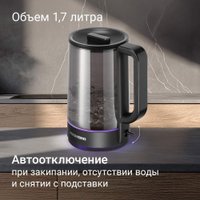 Электрический чайник Redmond (Редмонд) KG273 (черный)