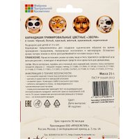 Набор для аквагрима ФТКОСМЕТИК Звери 020104 (6 цв)