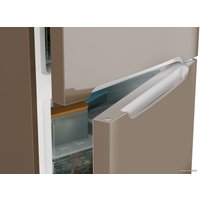 Холодильник Candy CCRN 6200G