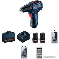 Дрель-шуруповерт Bosch GSR 12V-30 Professional 06019G9001 (с 2-мя АКБ, сумка, набор оснастки)