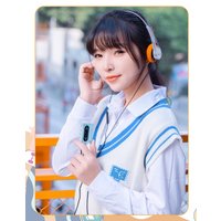 Наушники Snowsky Wind (серебристый)