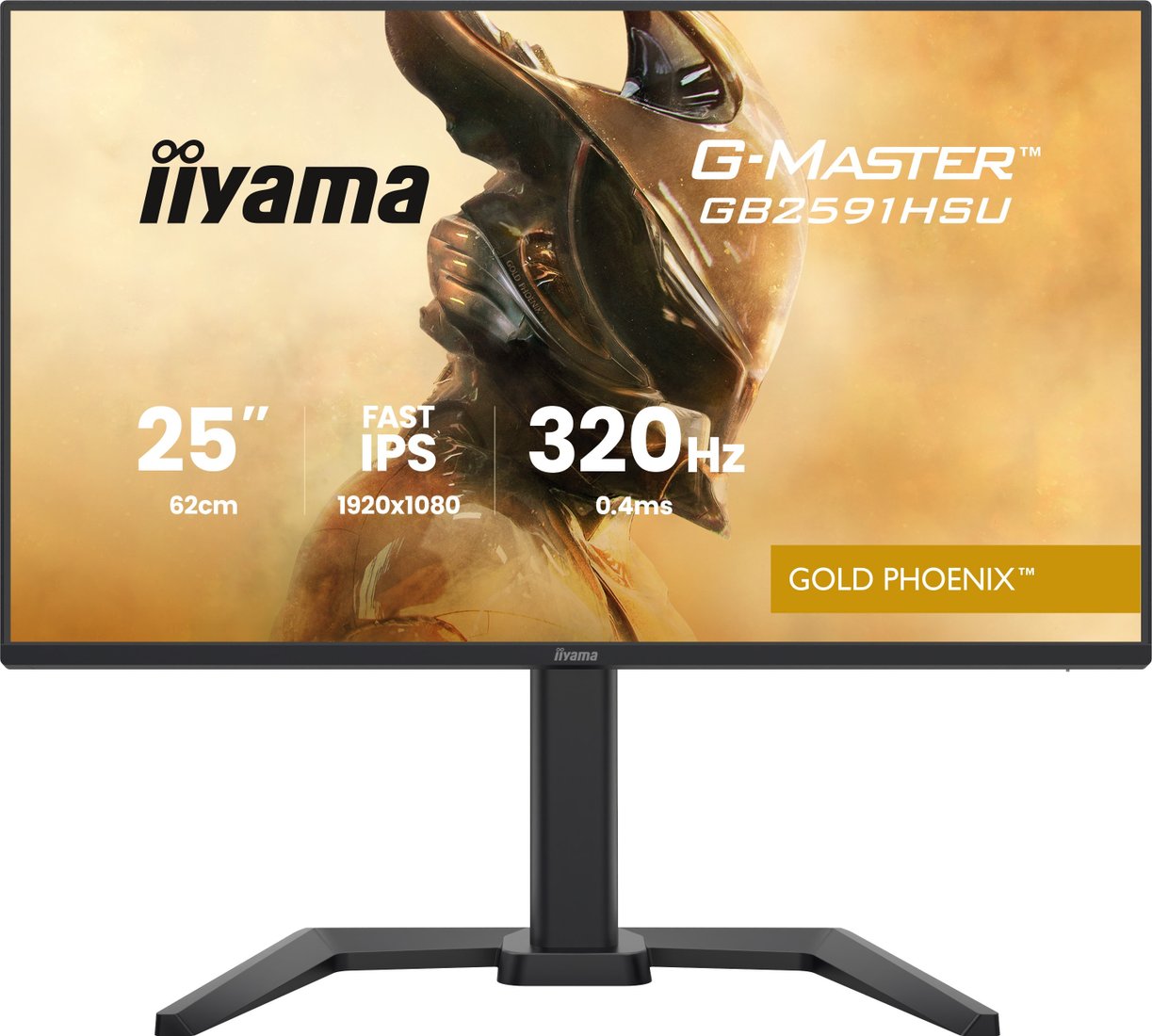 Монитор iiyama G-Master GB2591HSU-B1