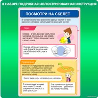 Набор для опытов Bondibon Японские опыты. Человек. Кости и мышцы ВВ4728