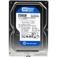 Жесткий диск WD Caviar Blue 250GB (WD2500AAJS)