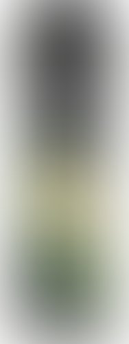 Гель интимный Shunga Toko Organica 6100 (165 мл)