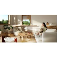 Вентилятор Xiaomi Mijia Desktop Air Circulation Fan BPLDS10DM (с переходником на евровилку)