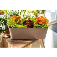 Вазон 5 Plast Прованс Балконный ящик (6 л, фраппе, с подставкой)