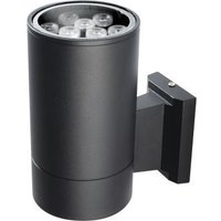 Садовый светильник JAZZway PWL-200110/30D 1x9w 6500K IP65