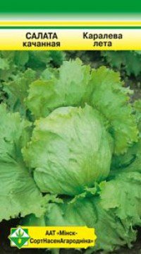 Семена МинскСортСемОвощ Салат кочанный хрустящий Королева лета 0.5 г