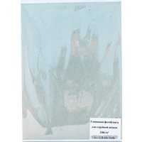 Фотобумага Revcol Глянцевая 10x15 200 г/м2 100 л [128939]