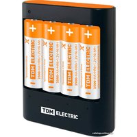 Аккумуляторы + зарядное TDM Electric 36044Н SQ1702-0101